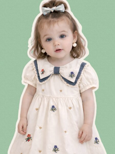 Embroidered Dress